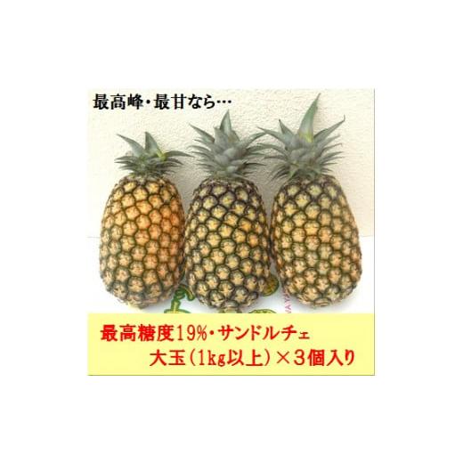 ふるさと納税 沖縄県 石垣市 [先行予約]サンドルチェ大玉3〜4個 計3.6kg [7月末より順次発送][ 産地直送 沖縄 石垣 フルーツ パイナップル パイン サン…