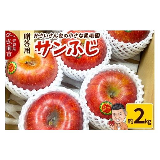 ふるさと納税 りんご 青森県 弘前市 26年1月〜発送 りんご サンふじ 約2kg 贈答用