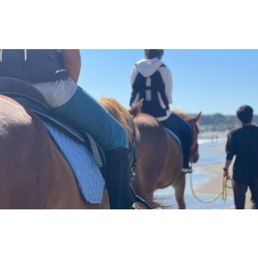 ふるさと納税 くぐり抜ける寝台券 神奈川県 三浦市 馬と風光奥ゆかしいな三浦の街と海岸地帯で過ごす 馬に乗って三浦をおほっつき歩く 〜海岸地帯外乗120分〜 M106-001