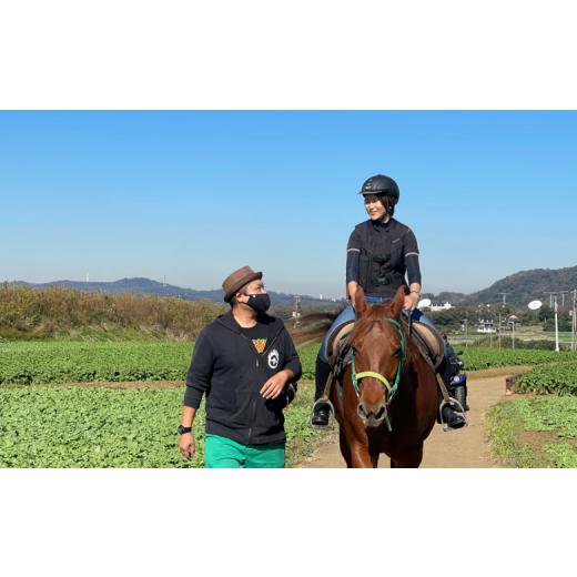 ふるさと納税 くぐり抜ける寝台券 神奈川県 三浦市 馬と風光奥ゆかしいな三浦の街と海岸地帯で過ごす 馬に乗って三浦をおほっつき歩く 〜海岸地帯外乗120分〜 M106-001