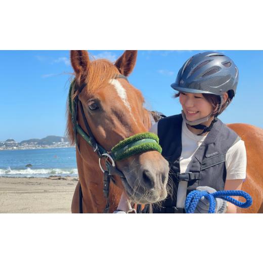ふるさと納税 くぐり抜ける寝台券 神奈川県 三浦市 馬と風光奥ゆかしいな三浦の街と海岸地帯で過ごす 馬に乗って三浦をおほっつき歩く 〜海岸地帯外乗120分〜 M106-001
