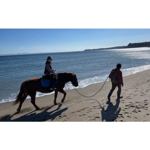 ふるさと納税 くぐり抜ける寝台券 神奈川県 三浦市 馬と風光奥ゆかしいな三浦の街と海岸地帯で過ごす 馬に乗って三浦をおほっつき歩く 〜海岸地帯外乗120分〜 M106-001