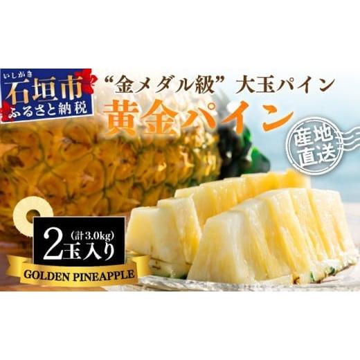 ふるさと納税 果物類 沖縄県 石垣市 先行予約 石垣島産 黄金パイン 大玉 2玉 約3.0kg 2026年7月以降発送 産地直送 沖縄 石垣 フルーツ パイナップル パイン …