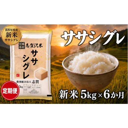 ふるさと納税 米 宮城県 岩沼市 令和8年産 新米 ササシグレ 定期便 5kg 6ヶ月 おこめ お米 白米 精米 コメ ライス ごはん ご飯 国産米 希少 幻の米 幻 まぼろ…