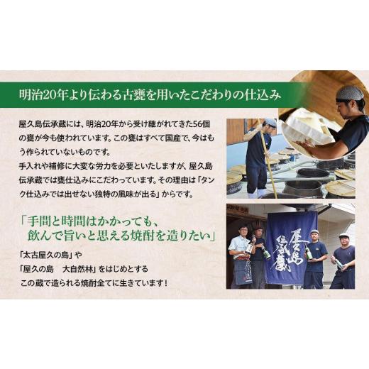 ふるさと納税 焼酎 麦 鹿児島県 屋久島町 屋久島 大自然林 麦 1.8L 2本 屋久島産の手造り麦焼酎 本坊酒造 屋久島伝承蔵_5