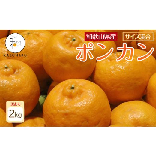 ふるさと納税 みかん・柑橘類 和歌山県 九度山町 訳あり 森本農園の手選別 ポンカン2kg 和歌山県産 サイズ混合 [北海道・沖縄・離島配送不可][RN13][2027…