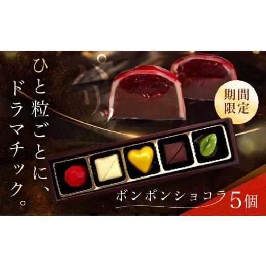 ふるさと納税 菓子 チョコレート 長崎県 南島原市 [通常寄附] 2026年2月〜発送 ボンボンショコラ 5個入り / チョコ チョコレート ちょこれーと お土産 お菓…