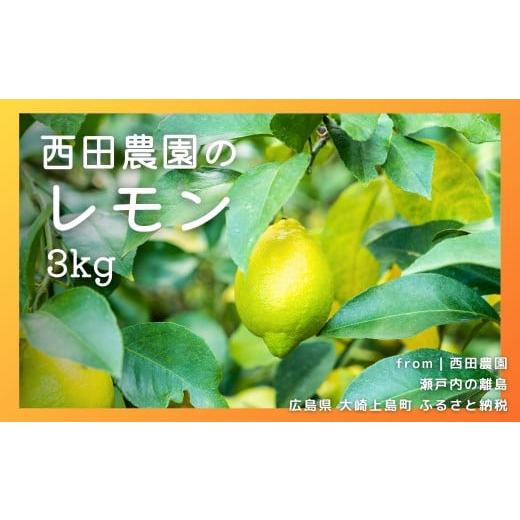 ふるさと納税 みかん・柑橘類 レモン 広島県 大崎上島町 瀬戸内レモン 約3kg (30個程度) 2026年2月〜3月発送 檸檬 れもん フルーツ 果物 瀬戸内 広島 大崎上島…