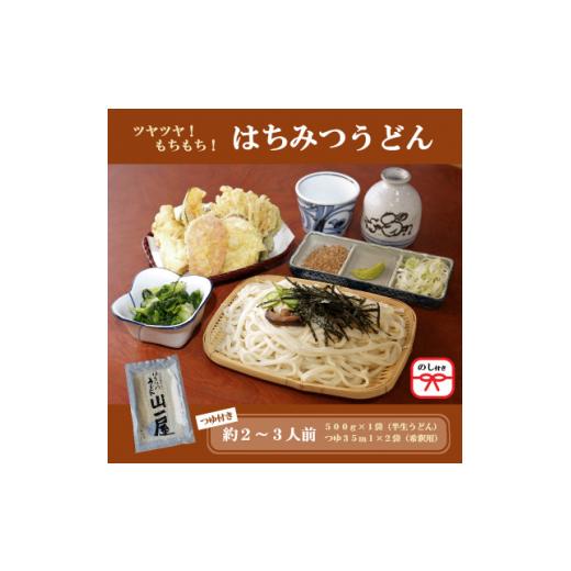 ふるさと納税 うどん 生・半生めん 群馬県 吉岡町 のし付き はちみつうどん500g×1袋 約2〜3人前(半生うどん) 1507021