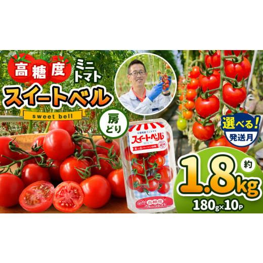 ふるさと納税 トマト ミニトマト 千葉県 君津市 11月発送 高糖度 ミニトマト スイートベル ( 房どり ) 180g × 10P | 野菜 トマト ミニトマト プチトマト …