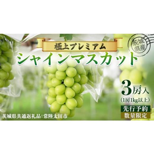 ふるさと納税 ぶどう マスカット 茨城県 牛久市 先行予約 茨城県産 極上プレミアム シャインマスカット 1房1kg以上 数量限定 3房入り ( 茨城県共通返礼品 : …