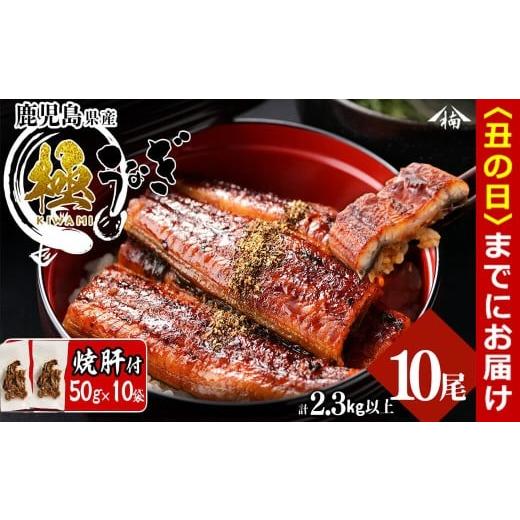 ふるさと納税 うなぎ 鹿児島県 志布志市 丑の日までに配送 楠田の極うなぎ蒲焼き 230g以上×10尾(計2.3kg以上) 焼肝10袋付き wa24-004-us 丑の日配送 2026年7…