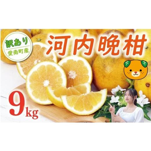 ふるさと納税 みかん・柑橘類 愛媛県 愛南町 数量限定 先行予約 訳あり 河内晩柑 樹齢 20年以上 9kg ( Lサイズ 以上 ) 7000円 みかん mikan 蜜柑 ミカン わ…