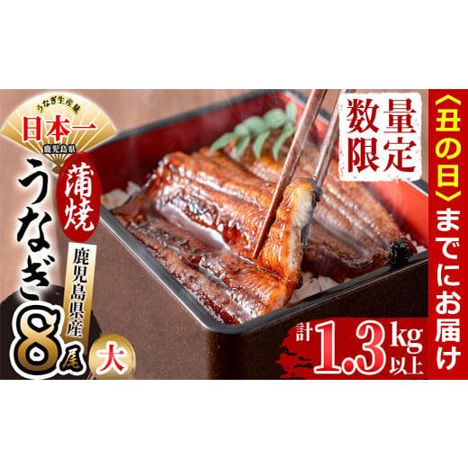 ふるさと納税 うなぎ 鹿児島県 志布志市 丑の日までに配送 鹿児島県産 伊崎田のうなぎ蒲焼 大 170g以上 × 8尾(計1.3kg以上) e4-005-us 丑の日配送 2026年7月…