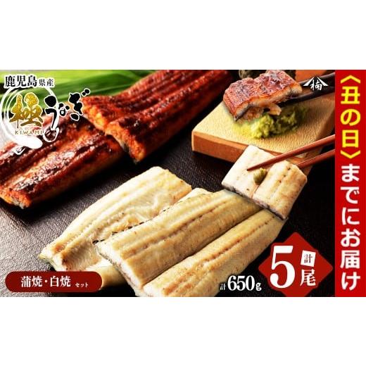 ふるさと納税 うなぎ 鹿児島県 志布志市 丑の日までに配送 楠田の極うなぎ 蒲焼き3尾・白焼き2尾 130g以上×5尾(計650g以上) c0-093-us 丑の日配送 2026年7月…