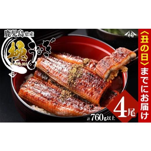 ふるさと納税 うなぎ 鹿児島県 志布志市 丑の日までに配送 楠田の極うなぎ 蒲焼き 190g以上×4尾(計760g以上) c6-083-us 丑の日配送 2026年7月1日〜26日の期…