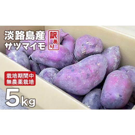 ふるさと納税 野菜類 サツマイモ 兵庫県 淡路市 訳アリ 淡路島産サツマイモ 5kg 栽培期間中、無農薬栽培 焼き芋・スイーツ作りに
