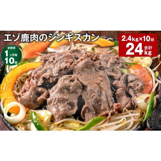 ふるさと納税 鹿肉 北海道 北広島市 1ヶ月毎10回定期便 エゾ鹿肉のジンギスカン 計2.4kg（300g×8パック）_1