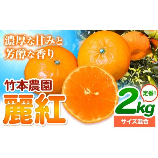ふるさと納税 果物類 みかん 和歌山県 日高川町 知る人ぞ知る柑橘の女王。麗紅 (れいこう) 2kg サイズ 混合[2027年2月中旬-5月中旬頃出荷]竹本農園 和歌山県…