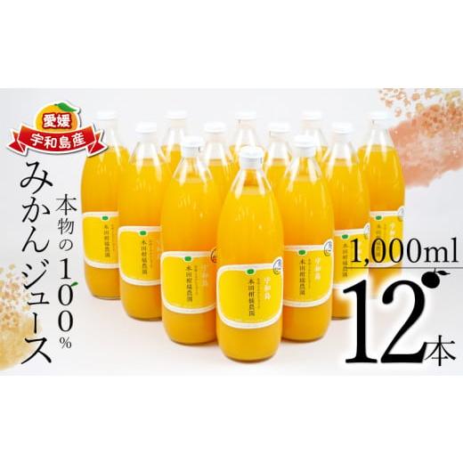 ふるさと納税 果汁飲料 みかん 愛媛県 宇和島市 みかんジュース 本物の100％みかんジュース 1,000ml × 12本 木田柑橘農園 南柑20号 温州みかん 温州蜜柑 みか…の画像