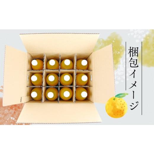 ふるさと納税 果汁飲料 みかん 愛媛県 宇和島市 みかんジュース 本物の100％みかんジュース 1,000ml × 12本 木田柑橘農園 南柑20号 温州みかん 温州蜜柑 みか…の画像