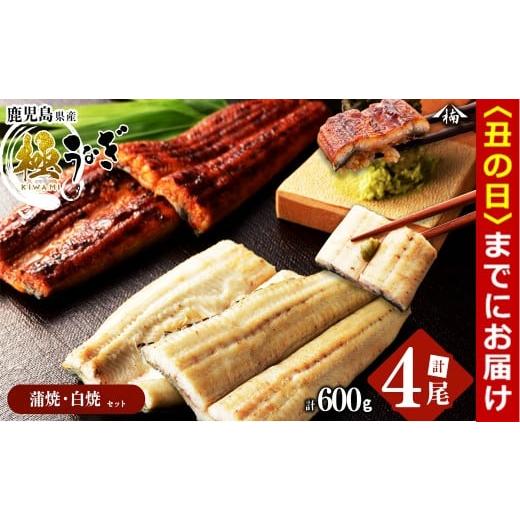 ふるさと納税 うなぎ 鹿児島県 志布志市 丑の日までに配送 楠田の極うなぎ 蒲焼き2尾・白焼き2尾 150g以上×4尾(計600g以上) b6-008-us 丑の日配送 2026年7月…
