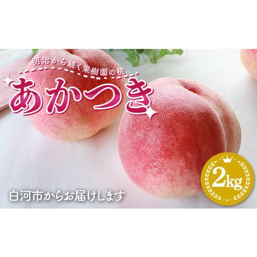 ふるさと納税 もも 福島県 白河市 2026年出荷分先行予約 明治から続く果樹園の桃「あかつき」2kg(玉数おまかせ) 桃 モモ もも 果物 くだもの フルーツ 福島…