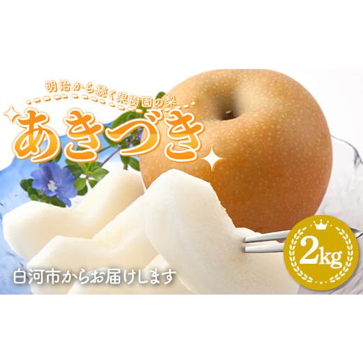 ふるさと納税 梨 福島県 白河市 2026年出荷分先行予約 明治から続く果樹園の梨「あきづき」2kg(玉数おまかせ) なし 果物 くだもの デザート ギフト ナシ 甘…