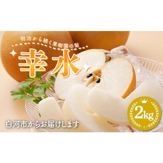 ふるさと納税 梨 福島県 白河市 2026年出荷分先行予約 明治から続く果樹園の梨「幸水」2kg(玉数おまかせ) なし 果物 くだもの デザート ギフト ナシ 甘い …