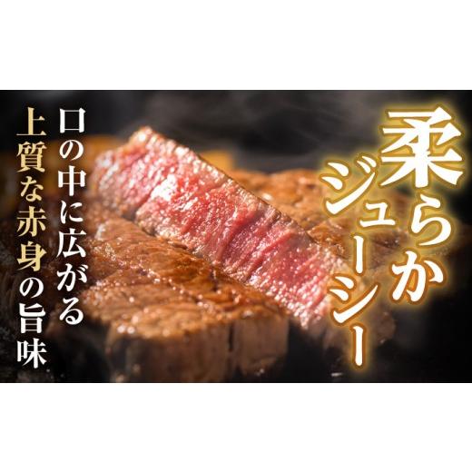 ふるさと納税 牛肉 ヒレ 長崎県 諫早市  12回定期便 極上 ヒレ ステーキ 300g（150g×2枚） ／ ヒレ ヒレステーキ ヒレ肉ステーキ ヒレ肉 長崎和牛 A5 希少部…_4