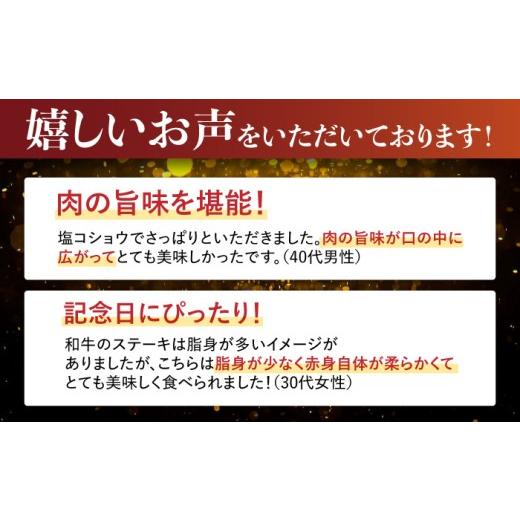 ふるさと納税 牛肉 ヒレ 長崎県 諫早市  12回定期便 極上 ヒレ ステーキ 300g（150g×2枚） ／ ヒレ ヒレステーキ ヒレ肉ステーキ ヒレ肉 長崎和牛 A5 希少部…_6