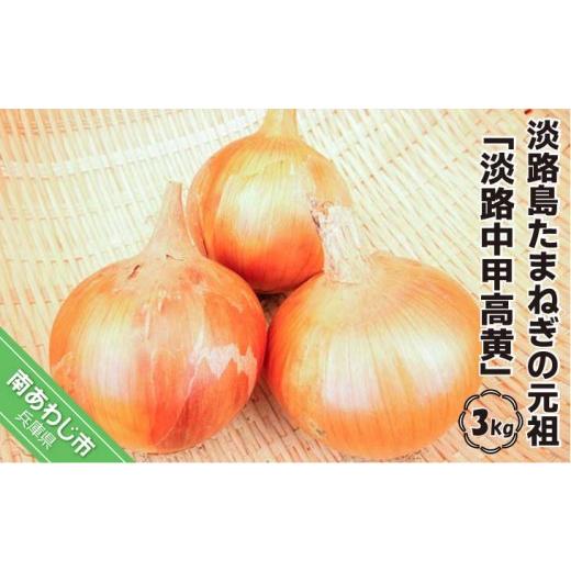 ふるさと納税 野菜類 玉ねぎ 兵庫県 南あわじ市 美菜恋来屋 淡路島たまねぎの元祖 「淡路中甲高黄」3kg