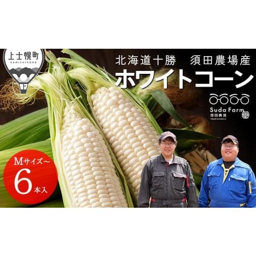 ふるさと納税 とうもろこし 北海道 上士幌町 2026年分 先行予約 北海道産 ホワイトコーン 計6本 北海道 上士幌町 須田農場 野菜 白い スイートコーン とうもろ…