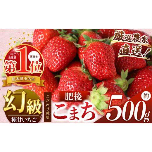 ふるさと納税 いちご 熊本県 玉名市 イチゴ 生産量 西 日本一 ? 厳選農家直送 いちご 肥後こまち 約 500g | フルーツ 果物 くだもの 苺 いちご 熊本県 玉名市 …