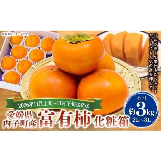 ふるさと納税 果物類 柿 愛媛県 - 内子町産 富有柿 化粧箱(2L〜3L)約3kg 2026年11月上旬〜11月下旬迄発送 えひめの町(超)推し (内子町) (448-1)
