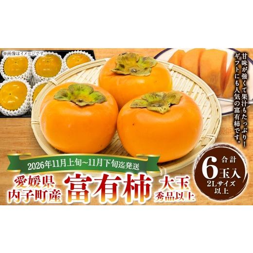 ふるさと納税 果物類 柿 愛媛県 - 内子町産 富有柿 大玉 秀品以上 6玉入り 2Lサイズ以上 2026年11月上旬〜11月下旬迄発送 えひめの町(超)推し (内子町) (…