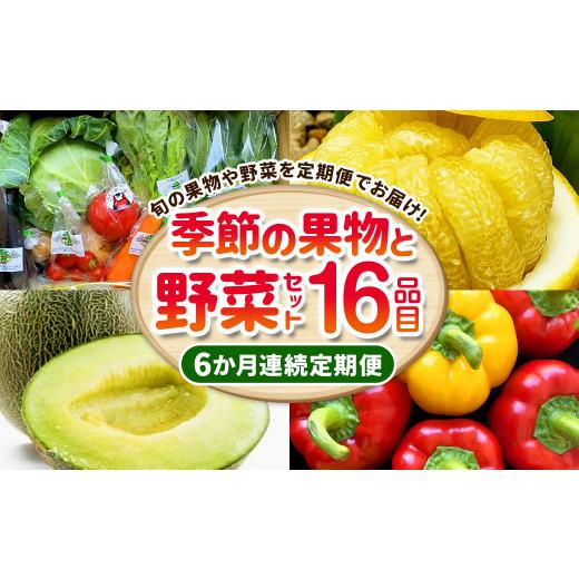 ふるさと納税 セット・詰合せ 熊本県 -  6か月連続定期便 季節の果物と野菜セット 16品目_1