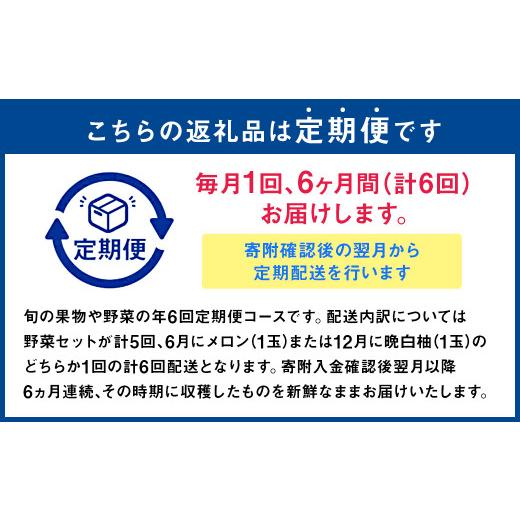 ふるさと納税 セット・詰合せ 熊本県 -  6か月連続定期便 季節の果物と野菜セット 16品目_2