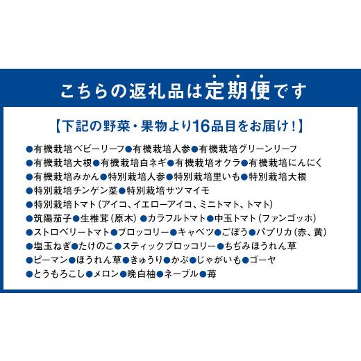 ふるさと納税 セット・詰合せ 熊本県 -  6か月連続定期便 季節の果物と野菜セット 16品目_3