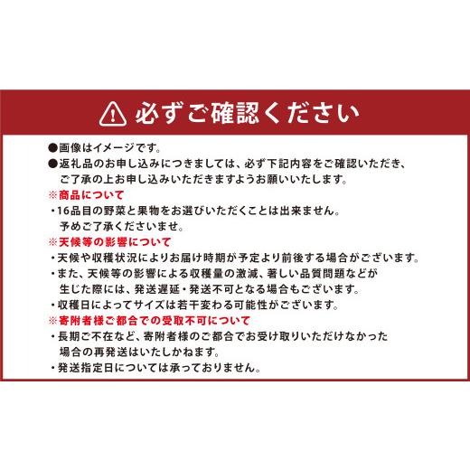 ふるさと納税 セット・詰合せ 熊本県 -  6か月連続定期便 季節の果物と野菜セット 16品目_4