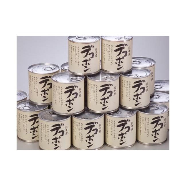 ふるさと納税 缶詰・瓶詰 くだもの 熊本県 芦北町 B243-50 デコポン缶詰（24缶入×2ケース）_1