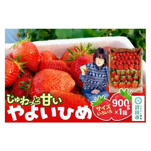 ふるさと納税 いちご 群馬県 沼田市 [2026年1月上旬〜2月上旬発送]じゅわっと甘い サイズいろいろ「やよいひめ」約900g(1箱/梱包込)山口いちご園 苺 イチ…