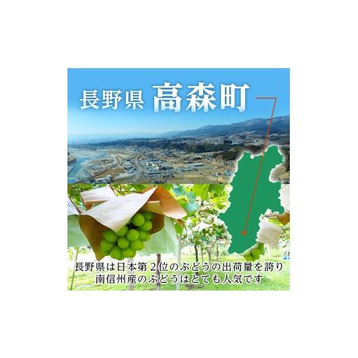 ふるさと納税 ぶどう マスカット 長野県 高森町  氷温貯蔵 長野県産・シャインマスカット（約2kg）秀品 2026年11月中旬から発送 信州 南信州 高森町 産地直送 …の画像