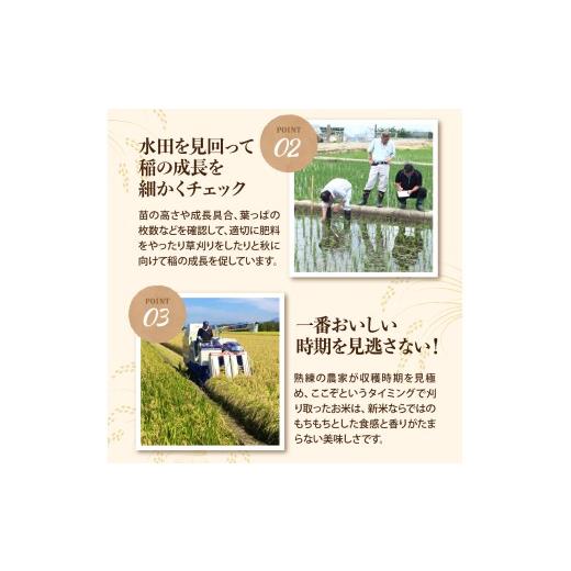 ふるさと納税 米 山形県 河北町 令和8年産米 2027年2月下旬発送 雪若丸 20kg（5kg×4袋）山形県産 米COMEかほく協同組合 ka024-053d-r8-023 2027年2月下旬発…