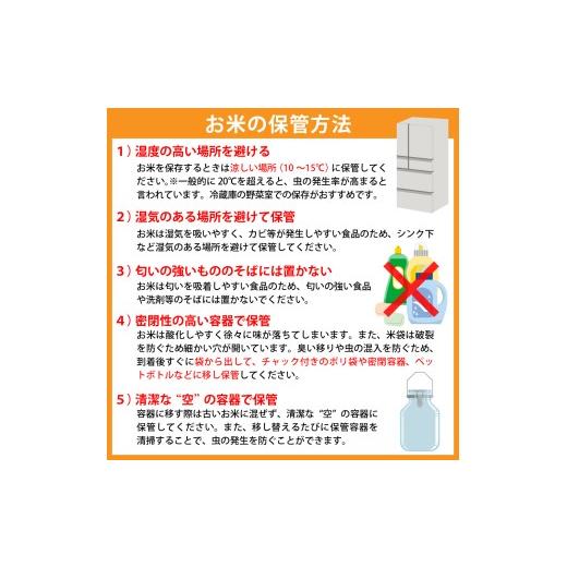 ふるさと納税 米 山形県 河北町 令和8年産米 2027年2月下旬発送 雪若丸 20kg（5kg×4袋）山形県産 米COMEかほく協同組合 ka024-053d-r8-023 2027年2月下旬発…