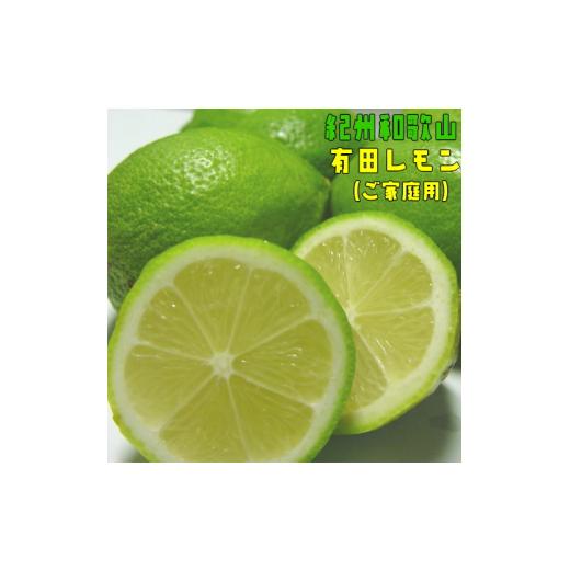 ふるさと納税 みかん・柑橘類 レモン 和歌山県 かつらぎ町 訳あり・ご家庭用 紀州和歌山 有田 レモン 約1.5kg+200g(傷み補償分) 2026年9月下旬〜2027年2月上…