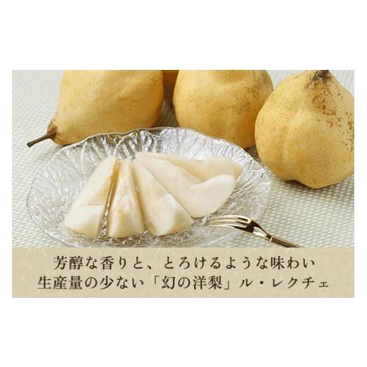 ふるさと納税 幻の洋梨 ル・レクチェ3kg（9〜11玉） 《11月下旬