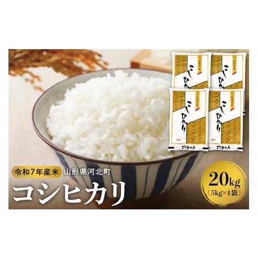 ふるさと納税 米 コシヒカリ 山形県 河北町 令和7年産米 2026年3月下旬発送 コシヒカリ20kg(5kg×4袋) 山形県産 米comeかほく協同組合 ka024-055d-r7-033 2…