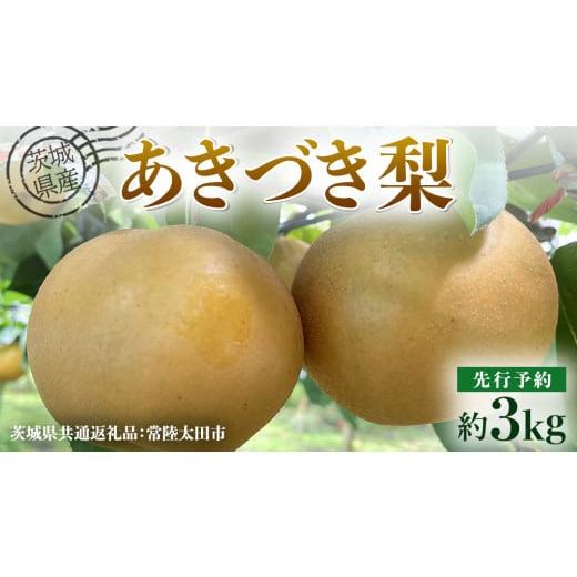 ふるさと納税 梨 茨城県 牛久市 先行予約 茨城県産 梨 あきづき 約3kg 6玉〜7玉( 茨城県共通返礼品 : 常陸太田市 ) 2026年 9月中旬頃より発送 フルーツ 果物 …