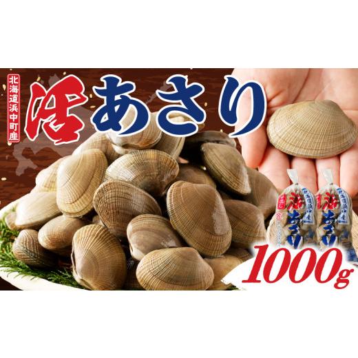 ふるさと納税 魚貝類 あさり 北海道 浜中町 訳あり 4月〜6月発送分[先行予約・期間限定]浜中町産活あさり(500g×2袋セット)_H0023-049 4〜6月発送 寄附額6,…